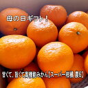 母の日ギフト 【スーパー柑橘-農6】【岩武果樹園の甘くて美味しい高機能みかん】有田みかん 高糖度 みかん ミカン 甘い ジューシー エコファーマー (減農薬)レ...