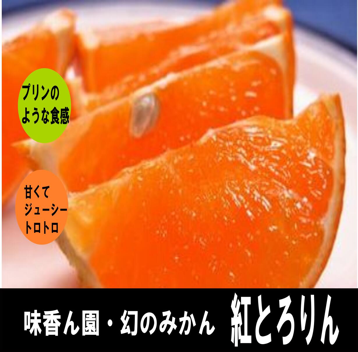 今年も甘くてトロトロ！幻のみかん 紅とろりん（紅まどんな）5kg 期間・数量限定！まるでプリンのような甘くてとろけるみかん 味香ん園 有機減農薬柑橘 愛媛 産地直送