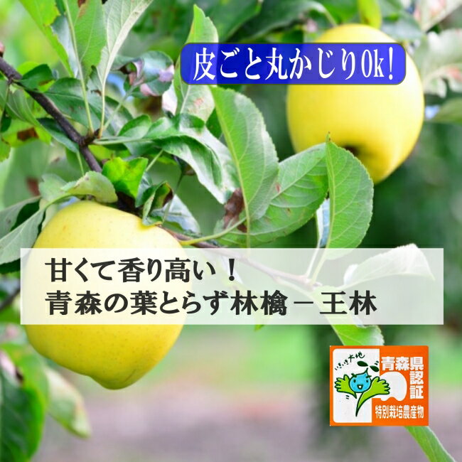 お歳暮ギフト！お早めにどうぞ　青森りんご ＼ 甘〜い王林3～10kg ／特選 ギフト お子様に大人気 葉と..