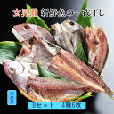 旨い干物 一夜干し 【玄界灘の新鮮魚の一夜干しBセットー4種6枚セット】化粧箱入り 産地直送 クールチルド便 魚の品種は季節で少々変わります。贈り物 喜ばれる ...
