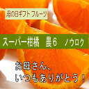 母の日ギフトフルーツ 【スーパー柑橘-農6】【岩武果樹園果樹園の甘くて美味しい高機能みかん農 6】有田みかん 高糖度 みかん ミカン 甘い ジューシー 【送料無...