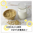 間もなく終了!丸ごと大豆【豆乳の素 300g×3袋】 大豆丸ごと 豆乳 粉 国産 減農薬大豆 パウダー 食べるイソフラボン ダイエット 非遺伝子組換え 食物繊維...