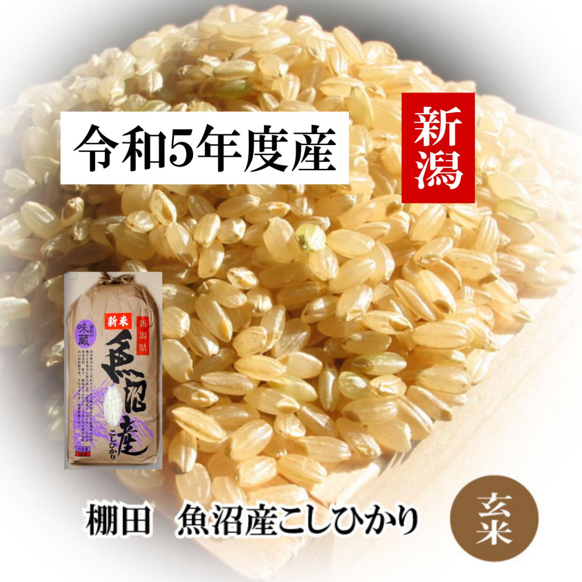 新潟 魚沼コこしひかり玄米3kg/棚田米 令和5年度米 【送料無料】魚沼産こしひかり 棚田米 新潟産 こしひかり 棚田米 幻の米 沢水育ち 送料無料 新潟県産 お取り寄せ 米 農家直送 ギフト 贈り物 喜ばれる 産地直送 甘くてツヤツヤ ブナ林