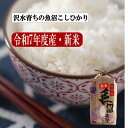9月末よりスタート!令和7年度産新米 新潟 魚沼こしひかり棚田米/白米 3kg,5kg,10kg 【 送料無料一部地域別途 】幻の米 棚田米 産地直送 お取り寄せ ギフト 贈り物 お歳暮 お中元 お祝い こだわり おいしいごはん プレゼント 精米 つやつや 魚沼産コシヒカリ