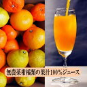 ジュース詰め合わせ 無農薬果汁果汁100％ ストレートジュース 720ml×6本 ギフト 味香ん園（みかんえん） お見舞い 快気祝い みかんジュース 無添加 無農薬 愛媛県 八幡浜 柑橘 100%