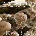 こだわりの 原木しいたけ こだわりの 原木しいたけ