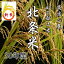 米 白米 10kg 30年産 新米 北条米 【あす楽対応】