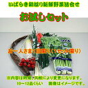 皆様の応援で販売開始しました。露地栽培野菜は極力さけてハウス栽培の野菜を詰め合わせてお送りいたします。ご了承ください。茨城朝採り野菜お試しセット