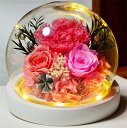 プリザーブドフラワー(ポット) プリザーブドフラワー カーネーション 永遠の花 永生花 枯れない花 ギフト プレゼント ガラスポット ドライフラワー ボックス付 LEDライト付 卒業式 母の日 成人式 成人 誕生日 結婚祝い 母 彼女 結婚記念日 両親 退職祝い 結婚式 還暦祝い