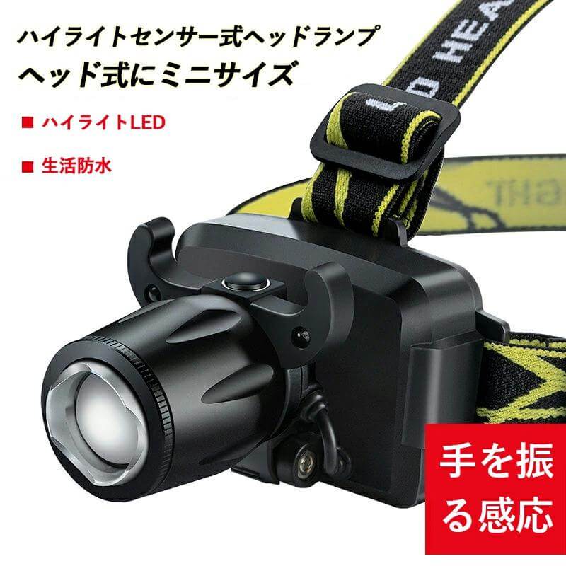 㤤ʪޥ饽P5ܡ2ǯ֤Υ᡼ݾ LED󥵡إåɥ饤 ϥ饤  إåɼ̥ ȥɥ USB...