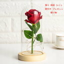 お買い物マラソン【P5倍】光る魔法のバラ光るバラ 光るローズ ガラスドーム 置物 LEDライト 光る 部屋 デコレーション インテリア ライト 飾り 照明 お洒落 おしゃれ 結婚式 ウエディング 誕生日 プレゼント 贈り物 ギフト ホームデコ