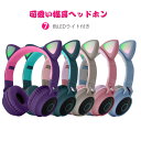 お買い物マラソン【P5倍】Bluetooth 5.0 ワイヤレスイヤホン 無線イヤホン Bluetooth 5.0 イヤホン マイク内蔵 男女兼用 超軽量&高音質 iPhone/Android/PC対応 ワイヤレスゲーミングイヤホン 自動ペアリング 【返品保証】(2)