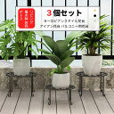 お買い物マラソン【P5倍】3個セット ヨーロピアンスタイル花台 アイアン花台 フラワースタンド 関 棚 観葉植物 観葉 植木鉢 おしゃれ 花台 鉢植え 屋内 家庭 バルコニー用花台 リビング 植木鉢 窓枠 ポトス 自宅 カフェ アウトドアーパティオ 園芸ラック