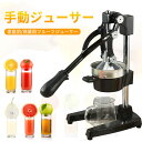 お買い物マラソン【P5倍】ハンドジューサー 業務用 果汁 手絞り 生ジュース 絞り器 カフェ 美味しい 手作り ジュース スクイーザー 家庭用 ビタミンジューサ...