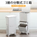 お買い物マラソン【P5倍】二重分類のゴミ箱 ゴミ分類 跳ねるロック設計 密封設計 お手入れ便利 両サイドにフックデザイン ホイールデザイン45L容量 ゴミ箱 蓋付き 乾湿分離 家庭利用可能 寝室 客? 厨房 ?公室(3)