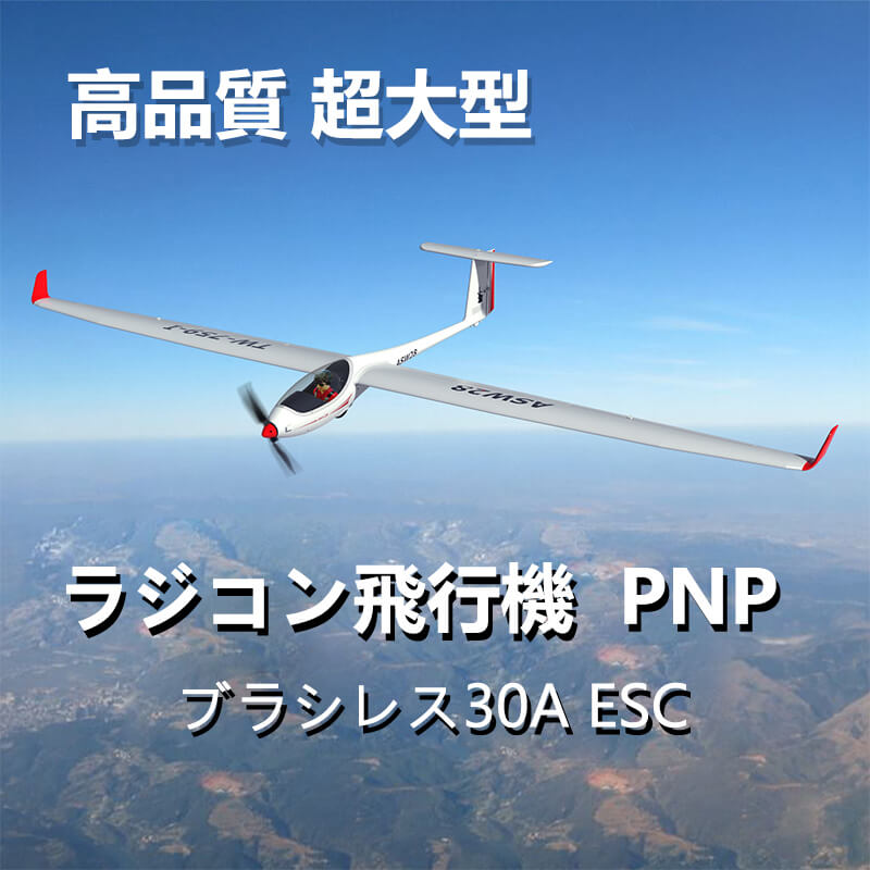 お買い物マラソン【P5倍】【PNP】超大型リモコン飛行機 練習機 2.4GHz ラジコン飛行機 ブラシレスモータ 頑丈 6CH 2600mm ボディ 室外リモコン飛行機 リモコン飛行機 練習 訓練に オフロード …