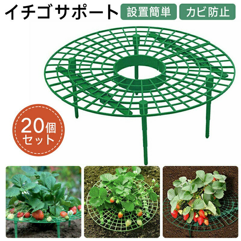 イチゴ棚 20個セット 支柱 イチゴサポート ストロベリーサポート イチゴ誘引 いちご植え支柱 円形 軽量..