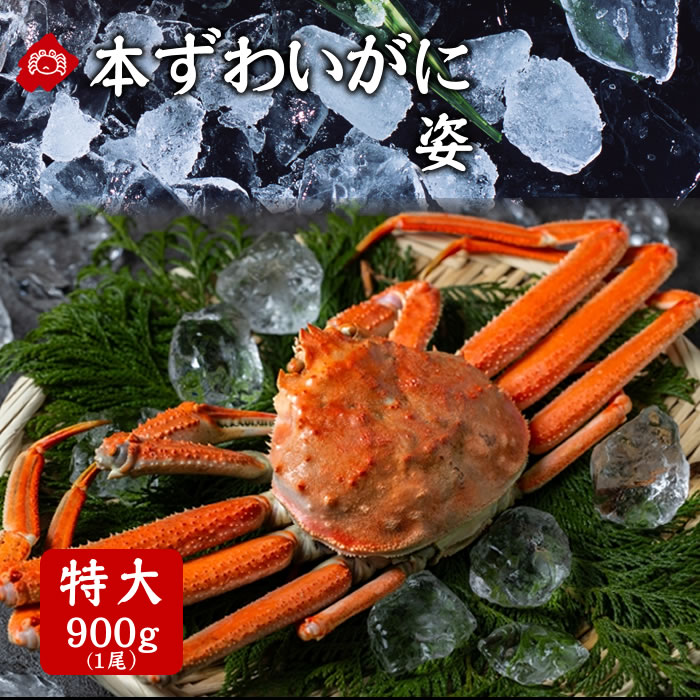 楽天市場】ズワイガニ 姿 900gの通販 楽天市場】ズワイガニ 姿 900gの通販