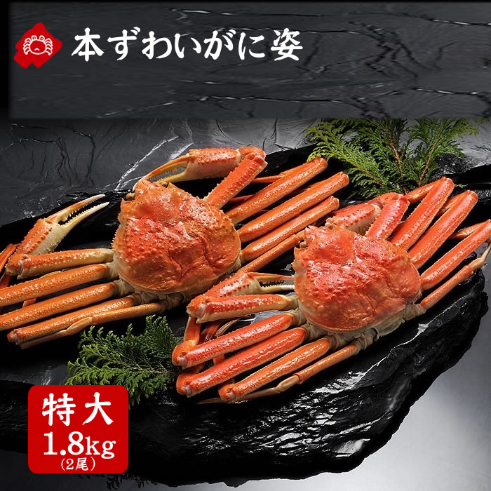 本ズワイガニ 姿 ボイル 超特大 2杯 1.8kg ずわい蟹 ズワイ蟹 贈答 特大