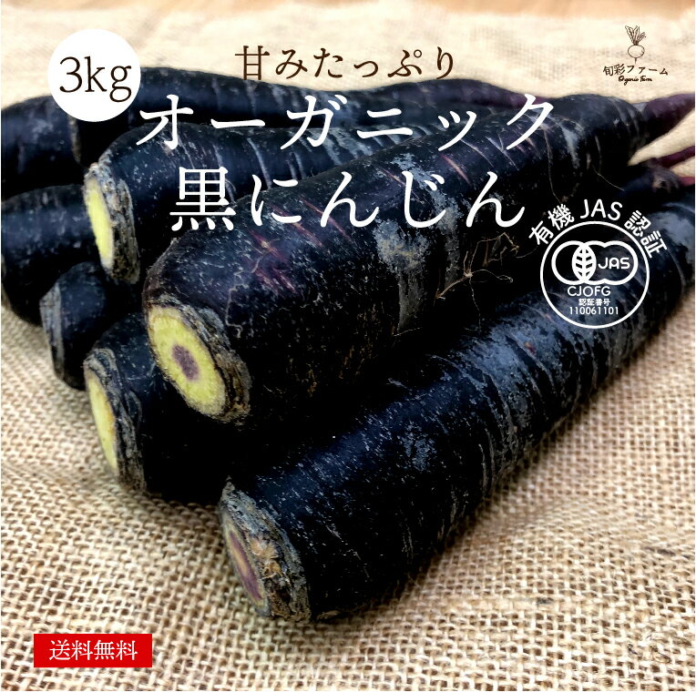 オーガニック　黒人参　3kg　有機人参　有機野菜　有機栽培　化学肥料・農薬不使用　無農薬　黒ニンジン　人参　農家直送　送料無料 とれたて 新鮮 旬の野菜 産直 　にんじんのサムネイル