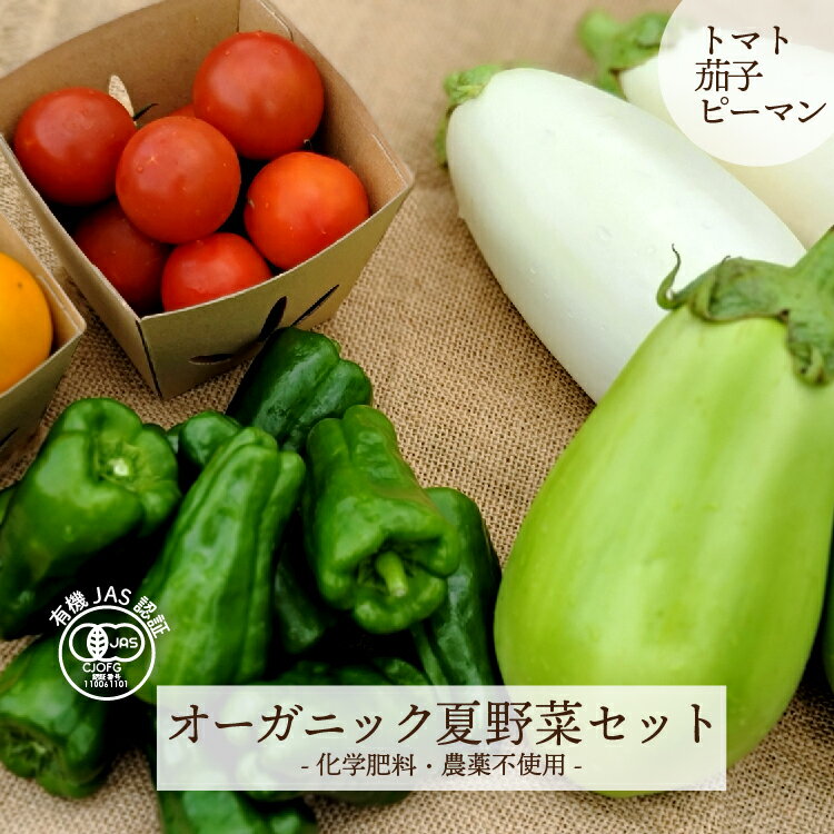 オーガニック　夏野菜セット　オーガニックトマト　オーガニックなす　オーガニックピーマン　有機JAS認証　化学肥料・農薬不使用　旬の野菜　無農薬野菜　自然栽培　農家直送　宅配　詰め合わせ【送料無料】のサムネイル