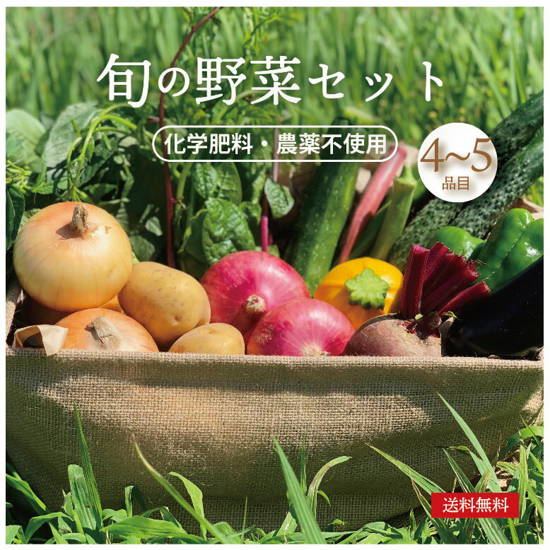 旬の野菜 詰め合わせ 4〜5品　Sセット　オーガニック おまかせ 野菜セット 農家直送 送料無料 自然農法　自然栽培　とれたて 新鮮　 産直 晩ご飯　食材　人気のセット　化学肥料・農薬不使用