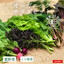 オーガニック　サラダ　セット　有機JAS認証　化学肥料・農薬不使用　サラダ野菜　野菜　無農薬野菜　自然栽培　農家直送　宅配　詰め合わせ　人気のセット　ミニ根菜つき　わさび菜　水菜　ほうれん草　こまつな　【送料無料】