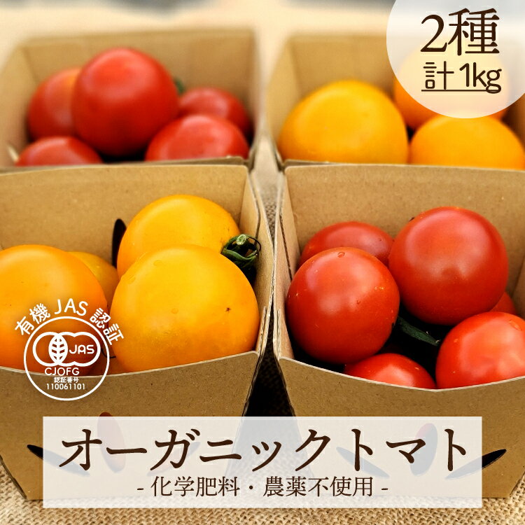 オーガニックトマト　2種　1kg　有機トマト　有機野菜　化学肥料・農薬不使用　無農薬　有機JAS　農家直送　送料無料 採れたて 新鮮 旬の野菜 産直 　農園直送　土耕栽培のサムネイル