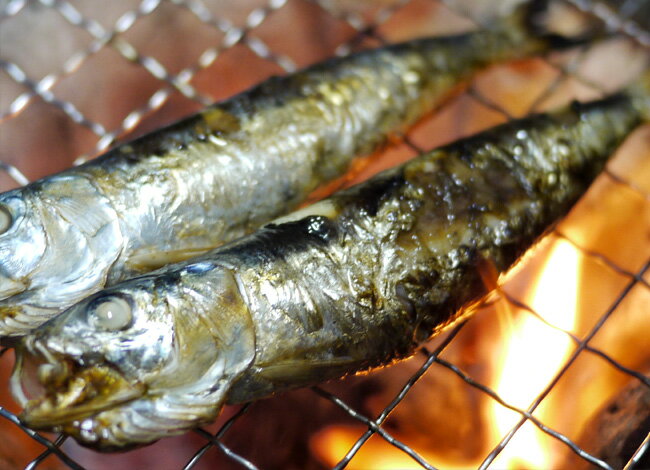 【訳あり】まると水産 愛知 豊浜産 