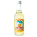 プレゼント友桝 信州杏サイダー 245ml 24本 瓶 友桝飲料 佐賀県 ノンアルコール飲料 ケース販売 お酒 母の日 プレゼント