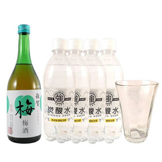 雑賀 梅酒 ソーダ割りセット(雑賀 梅酒 720ml・グラス1個・強炭酸水4本)本州のみ送料無料 お歳暮 プレゼント