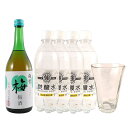 雑賀 梅酒 ソーダ割りセット(雑賀 梅酒 720ml・グラス1個・強炭酸水4本)本州のみ送料無料 母の日 プレゼント