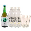 雑賀 梅酒 ソーダ割りセット(雑賀 梅酒 720ml・グラス2個・強炭酸水3本)本州のみ送料無料 父の日 プレゼント