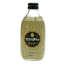 プレゼント友桝 マスクメロンサイダー 300ml 24本 瓶 友桝飲料 佐賀県 ノンアルコール飲料 ケース販売 お酒 お中元 プレゼント
