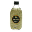 プレゼント友桝 マスクメロンサイダー 300ml 24本 瓶 友桝飲料 佐賀県 ノンアルコール飲料 ケース販売 お酒 母の日 プレゼント