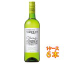 タリケ クラシック / ドメーヌ・タリケ 白 750ml 6本 サッポロビール ヴィーガン フランス 南西地方 白ワイン ヴィンテージ管理しておりません、変わる...