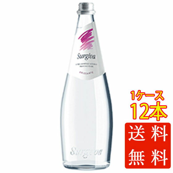 本州のみ送料無料 スルジーヴァ ミネラルウォーター・スパークリング 750ml 瓶 12本 ケース販売 日欧商事 イタリア 飲料 母の日 プレゼント