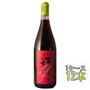 ル・タン・デ・ジタン カリニャン / マス・ド・ジャニーニ 赤 750ml 12本 フランス ラングドック・ルーション 赤ワイン コンビニ受取対応商品 ヴィンテ...
