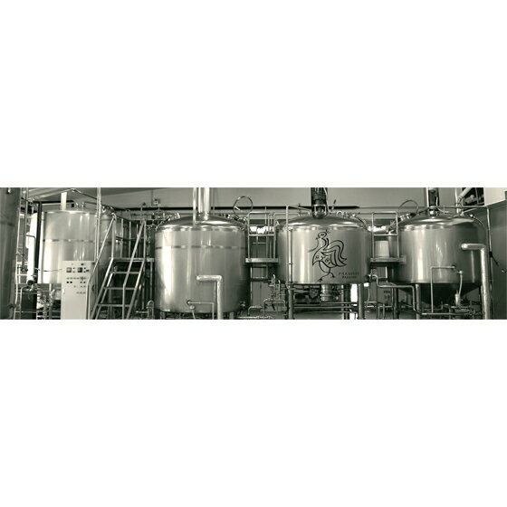 アサヒ ザ リッチ 缶 350ml×24本×4ケース (96本) 新ジャンル【送料無料※一部地域は除く】