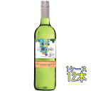 エスペランサ アイレン 白 750ml 12本 スペイン 白ワイン コンビニ受取対応商品 ヴィンテージ管理しておりません、変わる場合があります ケース販売 お酒...