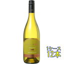 デル・ソル シャルドネ 白 750ml 12本 チリ マウレ・ヴァレー 白ワイン コンビニ受取対応商品 ヴィンテージ管理しておりません、変わる場合があります ケ...
