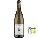 ソエンテ / コタレッラ 白 750ml 12本 イタリア ラツィオ 白ワイン ケース販売 コンビニ受取対応商品 ヴィンテージ管理しておりません、変わる場合があ...