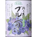 マルカイ 順造選 ブルーベリー 果汁50% 180ml / 500ml / 1000ml 国産 ジュース 大阪府 マルカイコーポレーション コンビニ受取対応商品 お中元 プレゼント