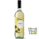 トーレ・ガラッソ トレッビアーノ 白 750ml 12本 イタリア アブルッツォ 白ワイン ケース販売 コンビニ受取対応商品 ヴィンテージ管理しておりません、変...