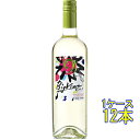 ビッグ・バン ホワイト シャルドネ セミヨン 白 750ml 12本 チリ マウレ・ヴァレー 白ワイン ケース販売 コンビニ受取対応商品 ヴィンテージ管理してお...