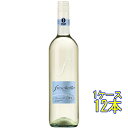 フレスケッロ ビアンコ / チェーロ・エ・テッラ 白 750ml 12本 イタリア ヴェネト 白ワイン ケース販売 コンビニ受取対応商品 ヴィンテージ管理してお...
