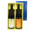 日本酒セット 全量純米大吟醸の蔵元 楯野川厳選セット 楯野川 清流 純米大吟醸 & 楯野川 主流 純米大吟醸 楽ギフ_のし宛書 コンビニ受取対応商品 送料無料 お中元 プレゼント