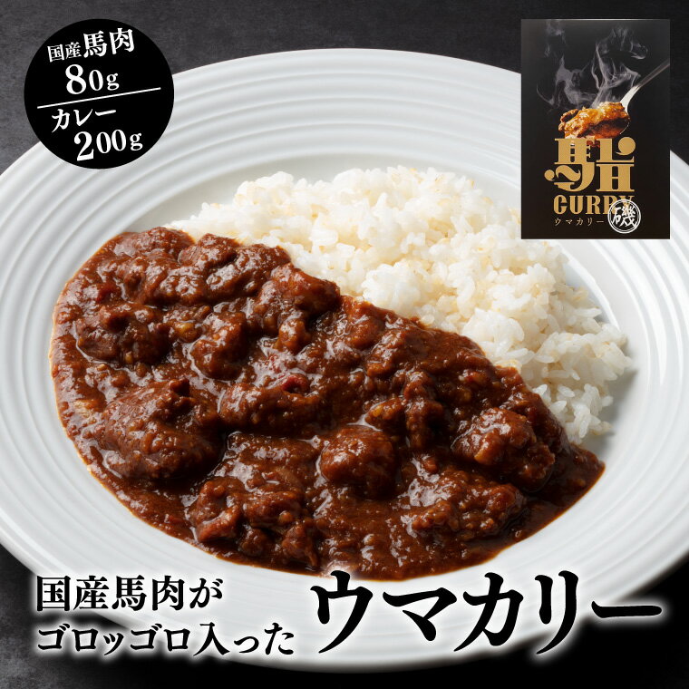 【ポイント2倍】送料無料 1000円 ポッキリ 馬肉 レトルトカレー 1個 200g 常温保存 辛口 メール便 家庭用 贈答用 プレゼント 保存食 ご当地カレー お取り寄せ ご当地グルメ スパイスカレー カレー カレーライス ポイント消化 買い物まわり ちょっとした お礼 訳あり