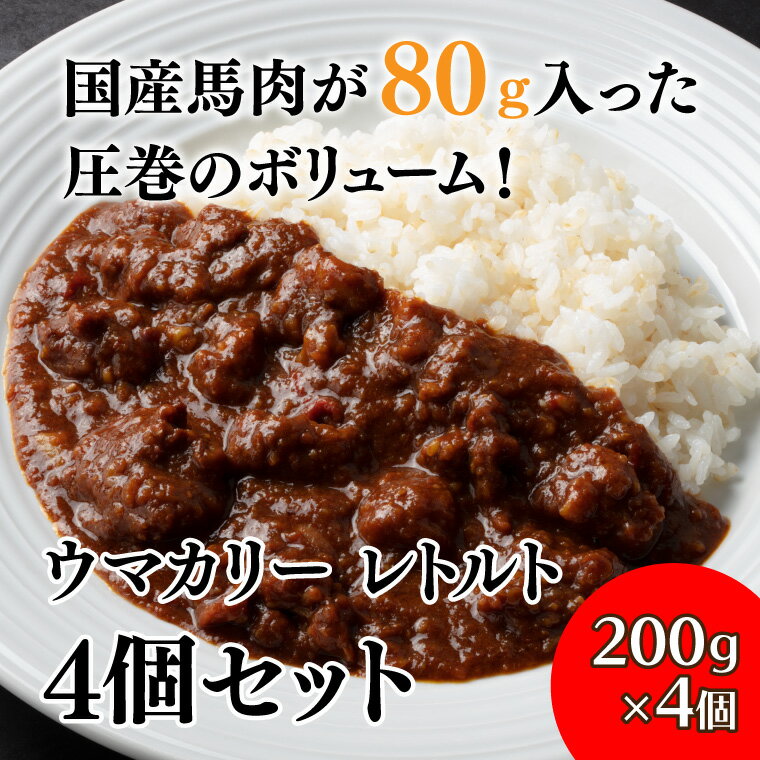 送料無料 国産 馬肉カレー 200g 4個 セット 馬肉 レトルトカレー 信州 本格 カレー 常温保存 辛口 家庭用 贈答用 プレゼント 保存食 ご当地カレー お取り寄せ ご当地グルメ スパイスカレー カレー カレーライス ちょっとした お礼 お返し 誕生日