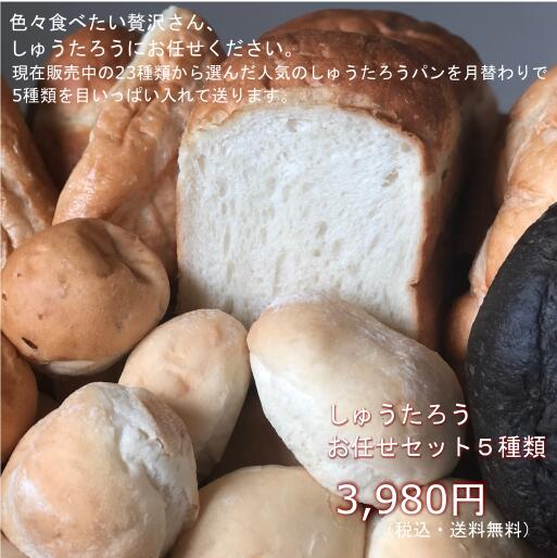 しゅうたろう　お任せセット冬季限定 常温便 しゅうたろう謹製 国産 冷凍パン プロ仕様 八戸朝市発 5種類 17個セット お試し 詰め合わせ お取り寄せ 保存食 夜食 工場直送 送料無料